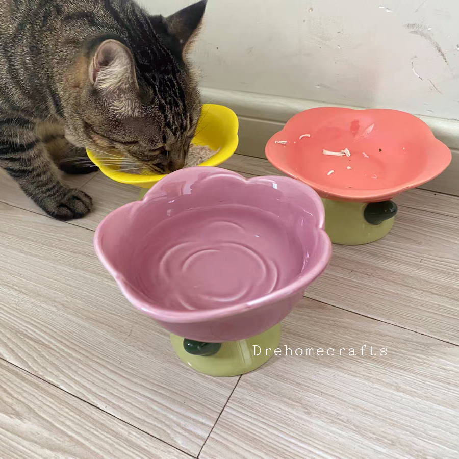 What Type Of Cat Bowl Is Best?