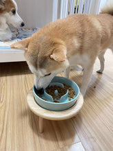 Lade das Bild in den Galerie-Viewer, Kleiner erhöhter Slow Feeder aus Keramik, Futternapf für kleine Hunde, Futternapf für Welpen, Slow Bowl, Welpennapf, Puzzle-Futternapf, Labyrinth-Futternapf