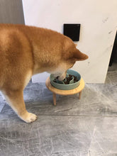 Lade das Bild in den Galerie-Viewer, Kleiner erhöhter Slow Feeder aus Keramik, Futternapf für kleine Hunde, Futternapf für Welpen, Slow Bowl, Welpennapf, Puzzle-Futternapf, Labyrinth-Futternapf
