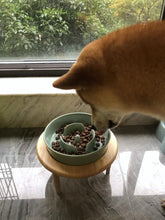Lade das Bild in den Galerie-Viewer, Kleiner erhöhter Slow Feeder aus Keramik, Futternapf für kleine Hunde, Futternapf für Welpen, Slow Bowl, Welpennapf, Puzzle-Futternapf, Labyrinth-Futternapf