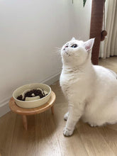 Lade das Bild in den Galerie-Viewer, Kleiner erhöhter Slow Feeder aus Keramik, Futternapf für kleine Hunde, Futternapf für Welpen, Slow Bowl, Welpennapf, Puzzle-Futternapf, Labyrinth-Futternapf