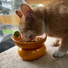 Load image into Gallery viewer, Raised cat food bowl , cute cat feeding bowl , dog feeding bowl Ceramic , raised cat food bowl , dog food bowl
