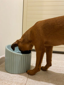 Tilted cat bowl , dog food bowl , feeding bowl , cat dish , feeder , ceramic , water bowl , decorative
