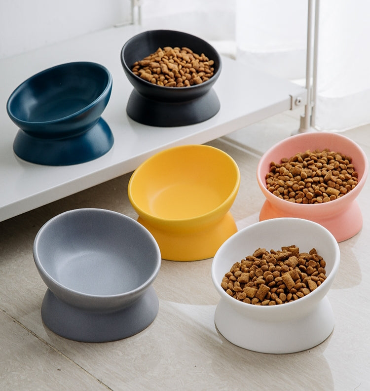 Vibrant Ceramic Slanted Feeding Bowl for Small Pet