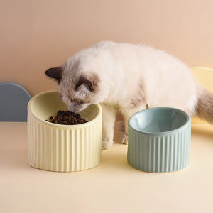 Tilted cat bowl , dog food bowl , feeding bowl , cat dish , feeder , ceramic , water bowl , decorative